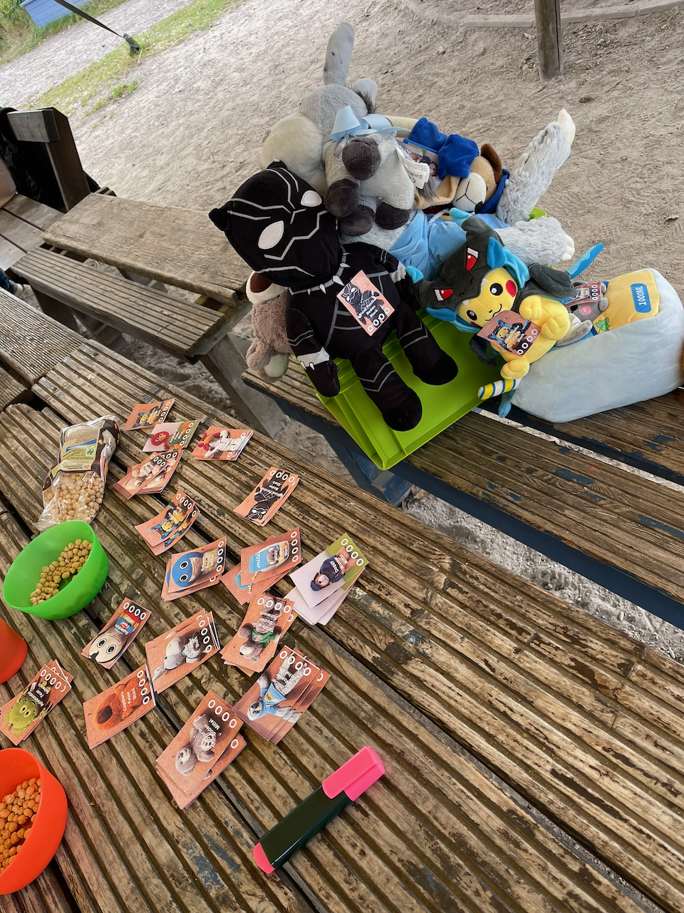 Kuscheltiere und Karten für das Speil Pokemon bei Go Ggw!