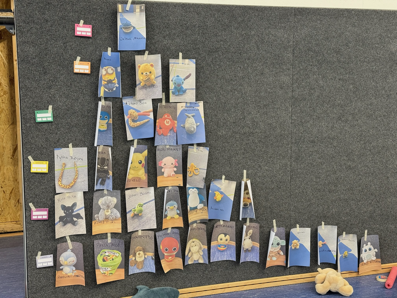 Ausdrucke von Kuscheltierfotos an Wand, sortiert für ein Spiel